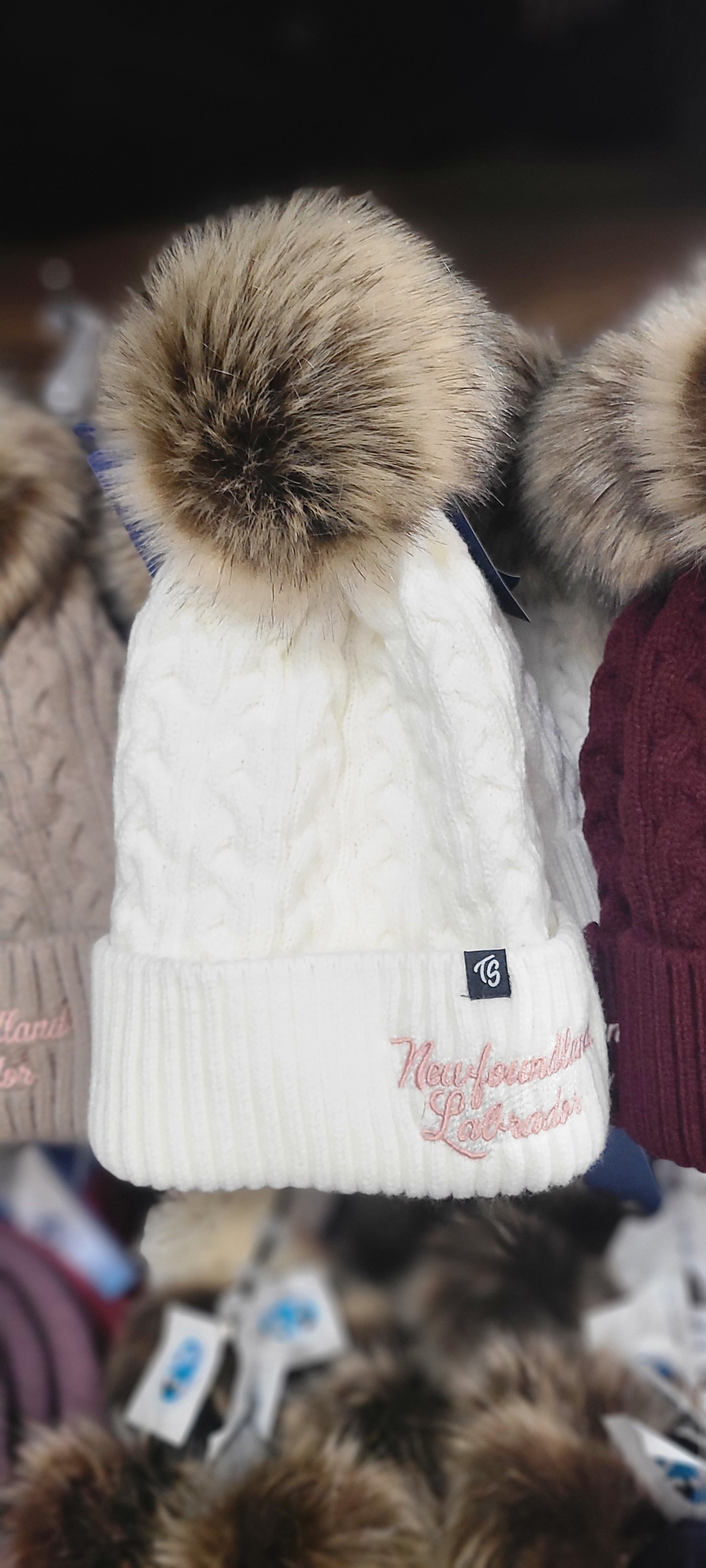 Winter hat with pom poms.