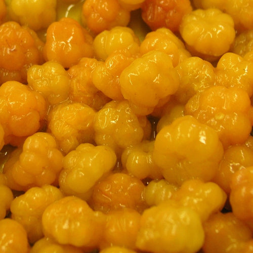 Close-up of yellow Newfoundland bakeapple cloudberries with a glossy texture
