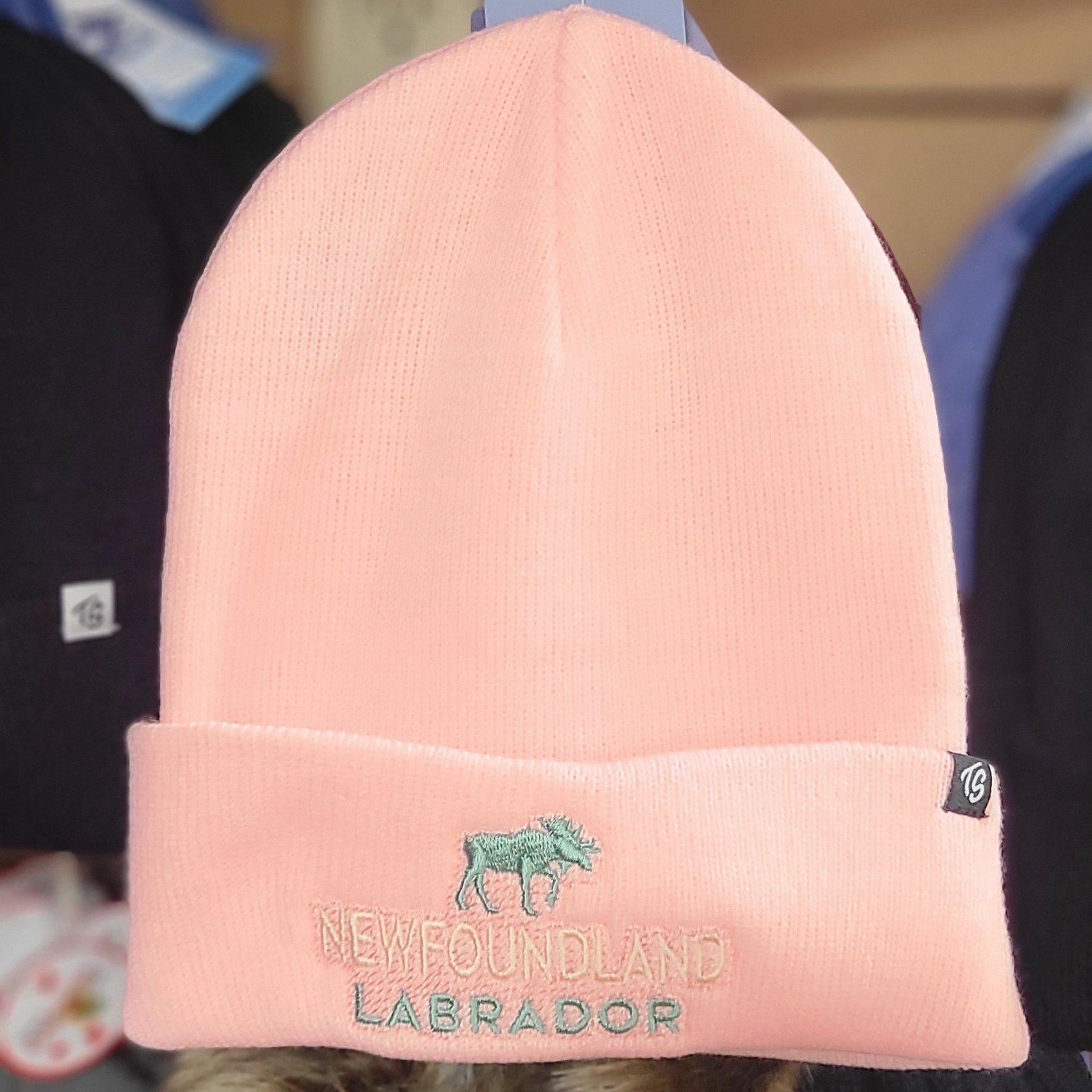 Pink-beanie-with-'Labrador'-text-on- a-blurred- background