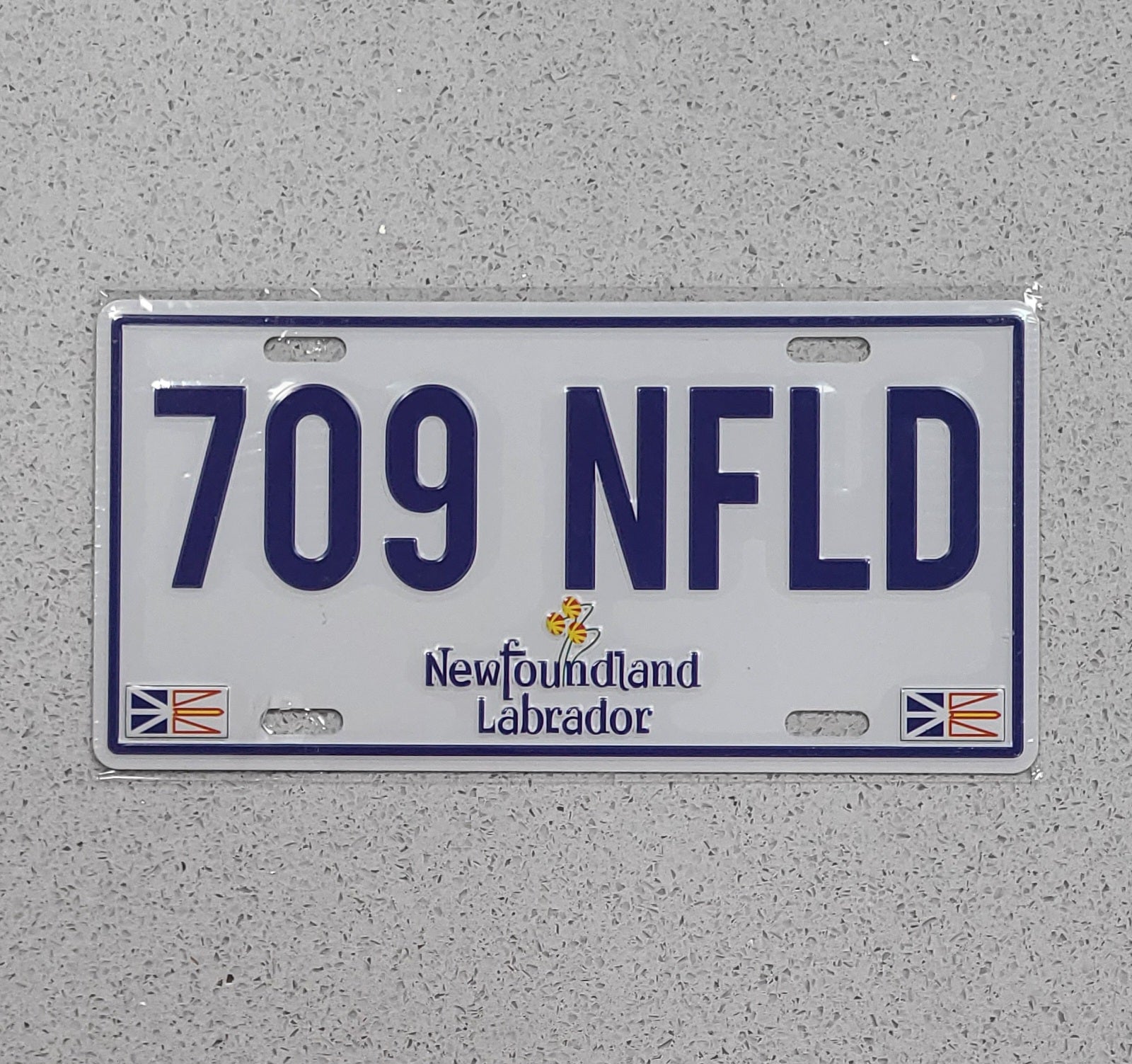 License plate with '709 NFLD' text and Newfoundland Labrador branding on a gray background